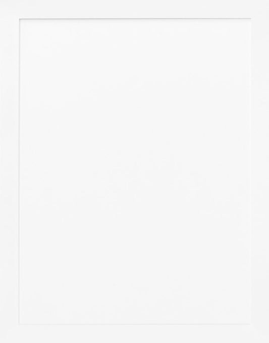 Wall W3642